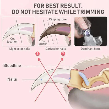 Professional Pet Nail Clipper Scissors With LED Light Cat Dog Nail Clippers Tool Scissors Nail Toeclaw Cutter Scissors Pet Supply